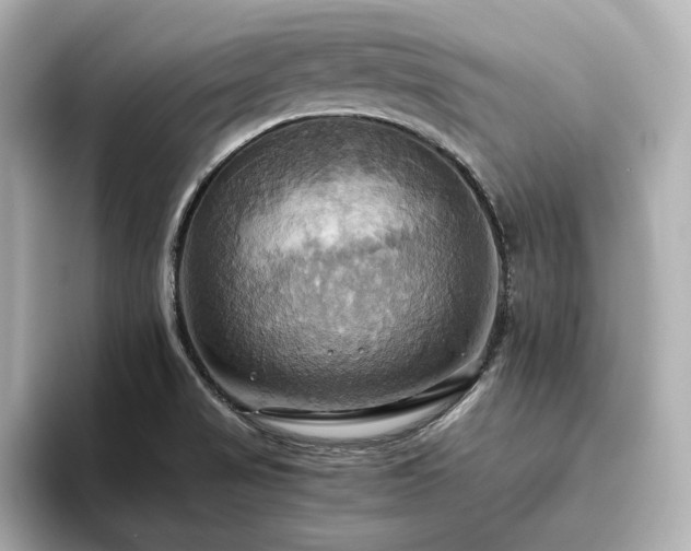 X0000093611517200710151230