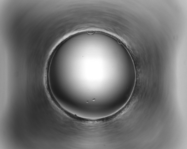 X0000093611518200710151230
