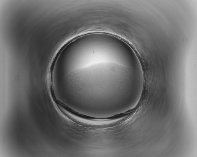 X0000093611519200710151230