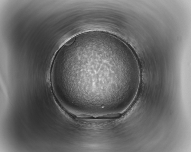 X0000093611521200710151230