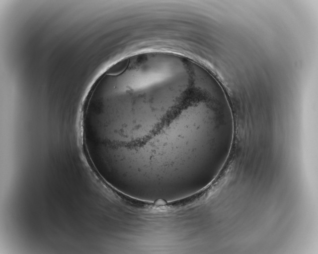 X0000093611522200710151230