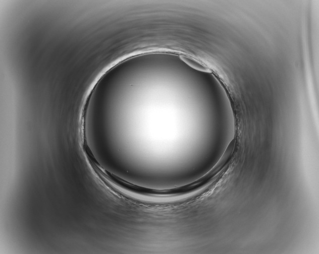 X0000093611524200710151230