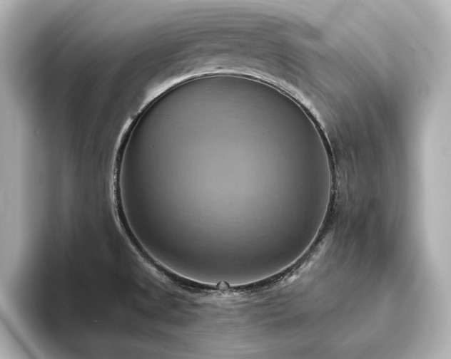 X0000093611525200710151230