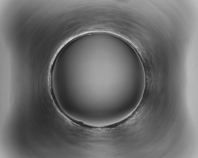 X0000093611527200710151230