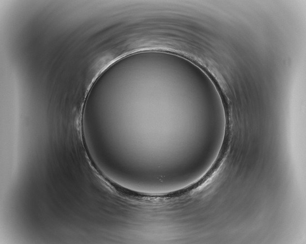 X0000093611529200710151230