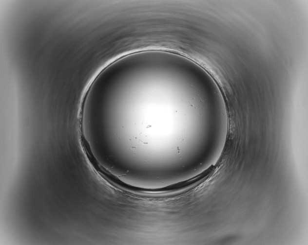 X0000093611532200710151230