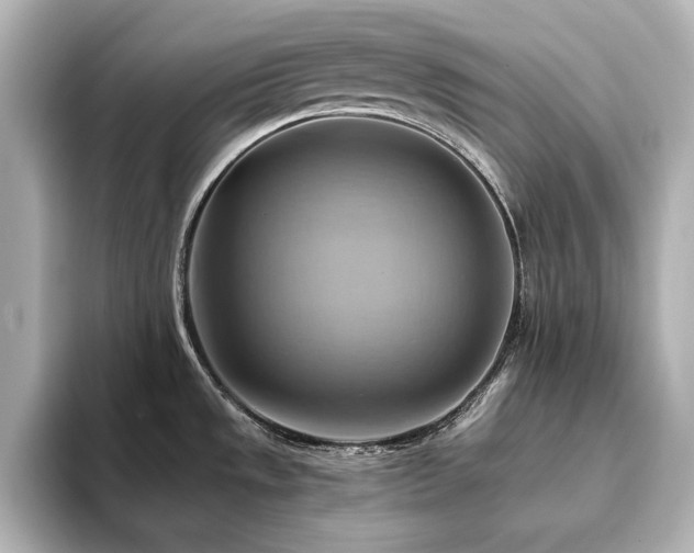 X0000093611533200710151230