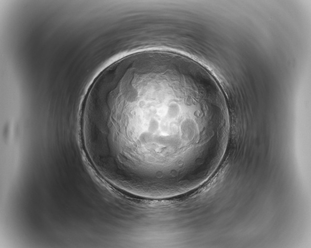 X0000093611534200710151230