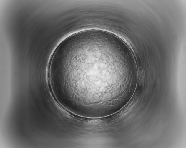 X0000093611535200710151230