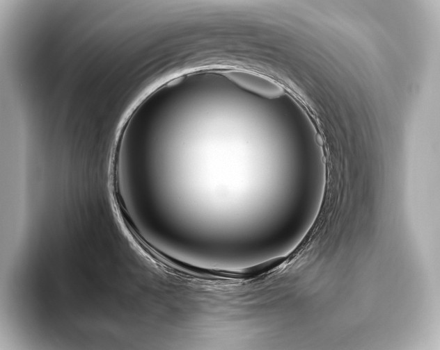 X0000093611536200710151230