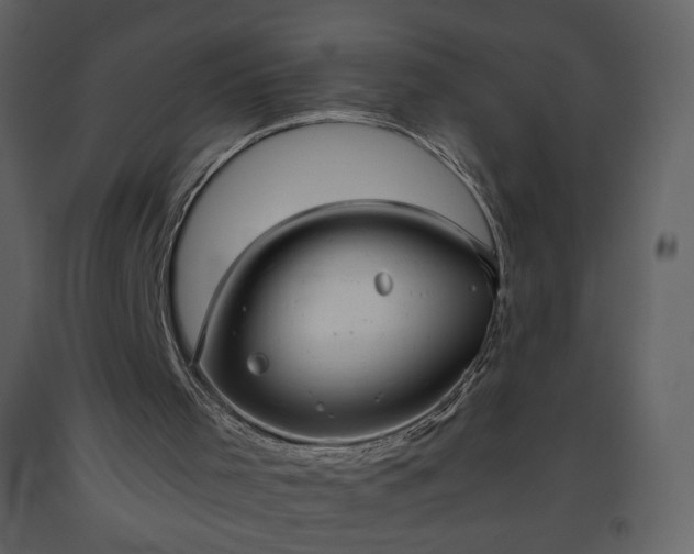 X0000093610001200710221616