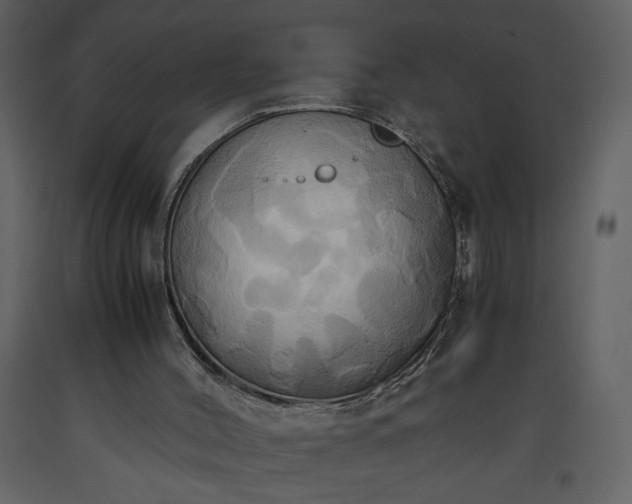 X0000093610004200710221616