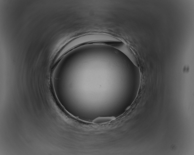 X0000093610005200710221616