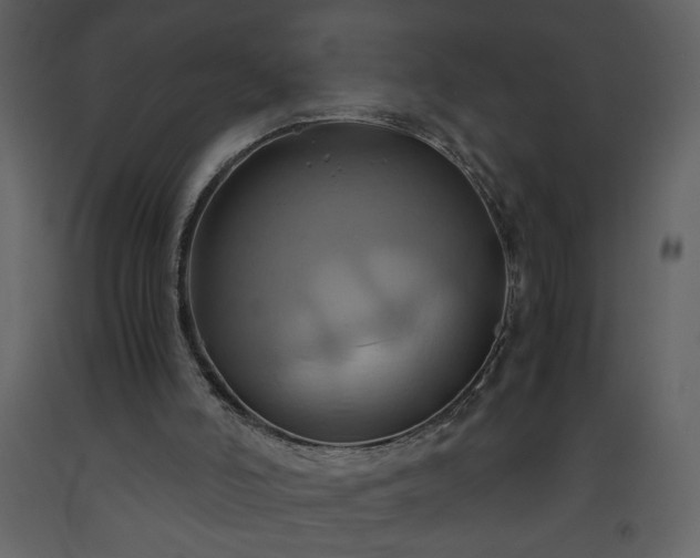 X0000093610006200710221616