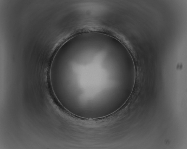X0000093610010200710221616