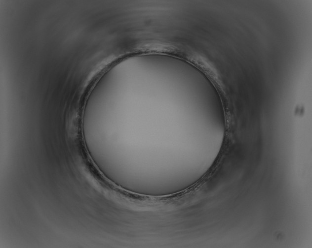 X0000093610012200710221616