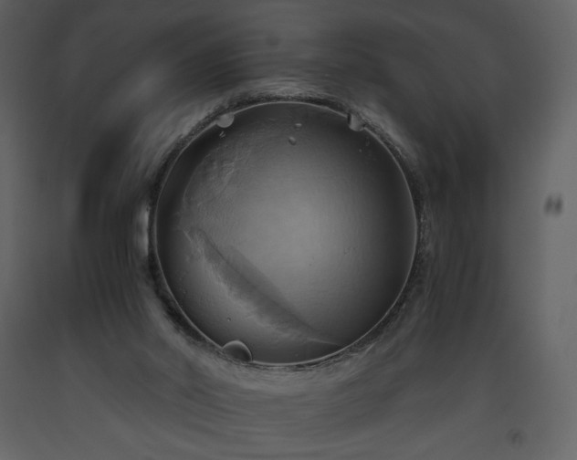 X0000093610014200710221616