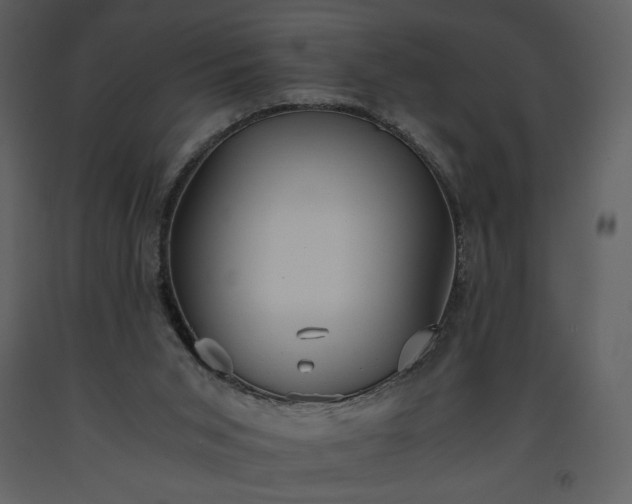 X0000093610015200710221616