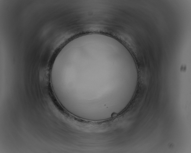 X0000093610016200710221616