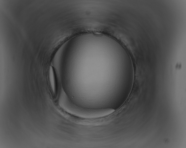 X0000093610017200710221616