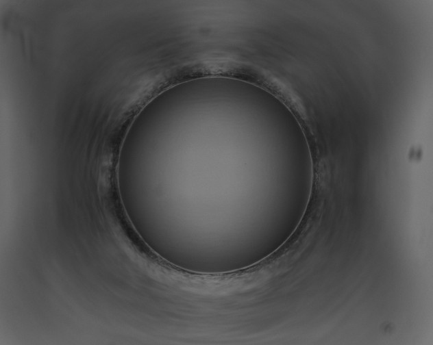X0000093610018200710221616