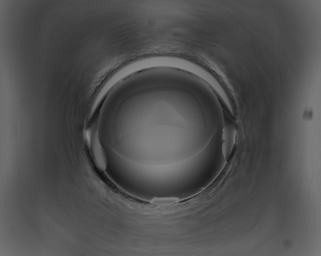 X0000093610019200710221616
