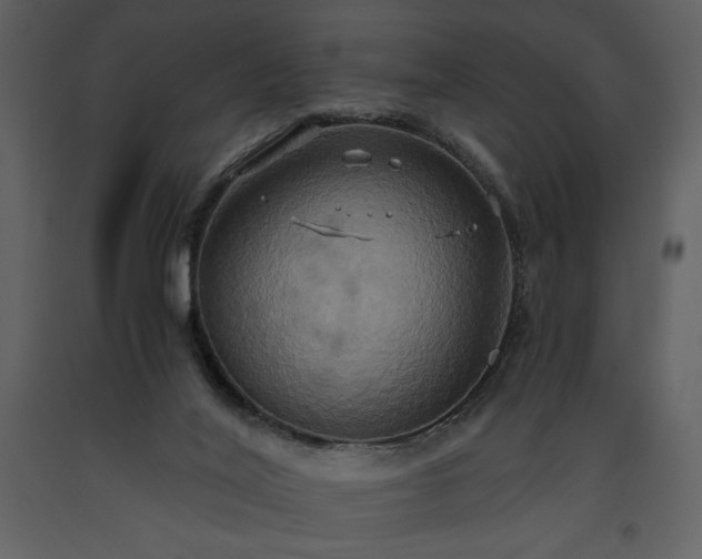 X0000093610020200710221616