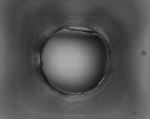 X0000093610021200710221616