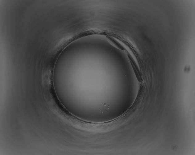 X0000093610023200710221616