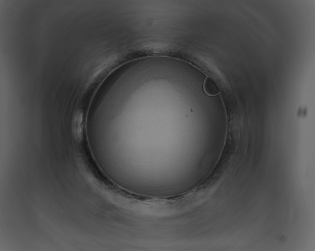 X0000093610024200710221616