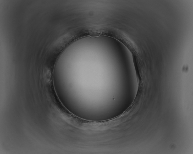 X0000093610025200710221616