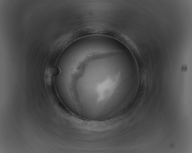 X0000093610026200710221616