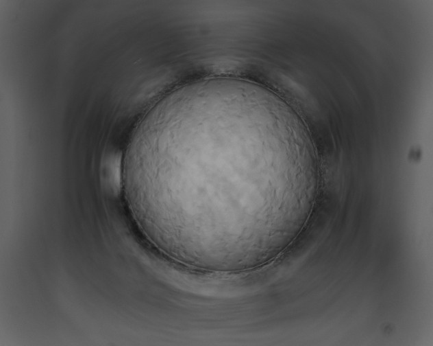 X0000093610028200710221616