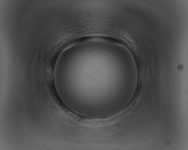 X0000093610029200710221616