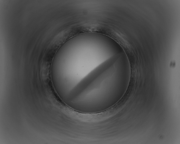 X0000093610030200710221616