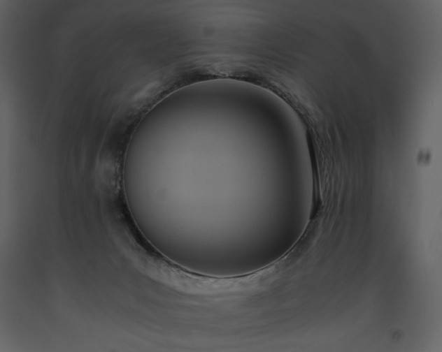 X0000093610031200710221616