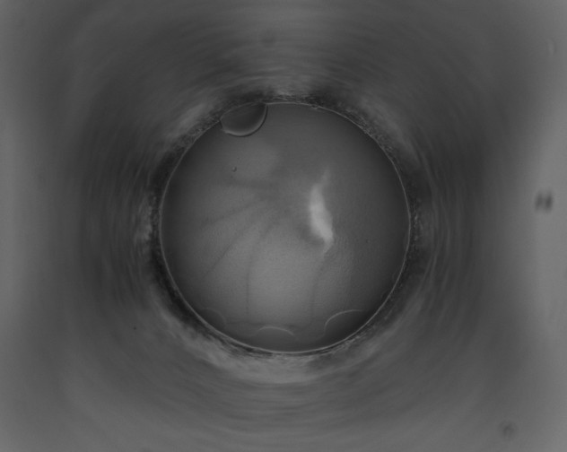 X0000093610032200710221616