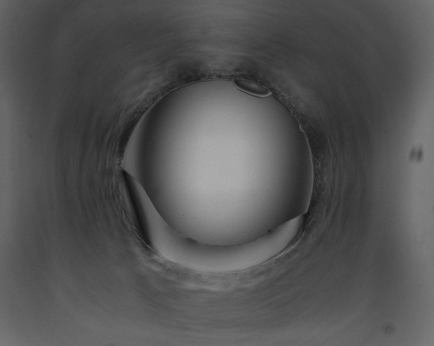X0000093610033200710221616
