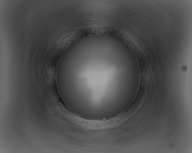 X0000093610034200710221616