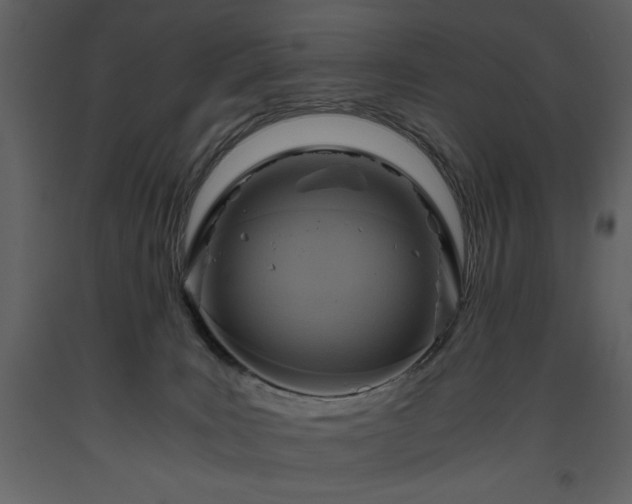 X0000093610035200710221616