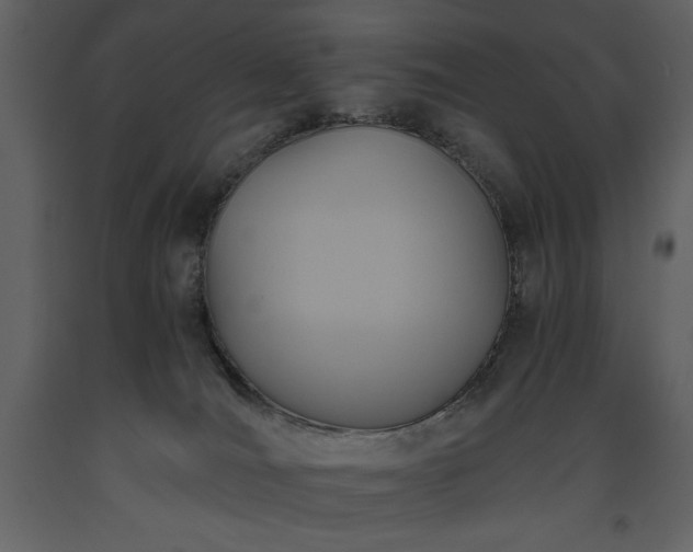 X0000093610036200710221616