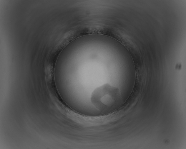 X0000093610038200710221616