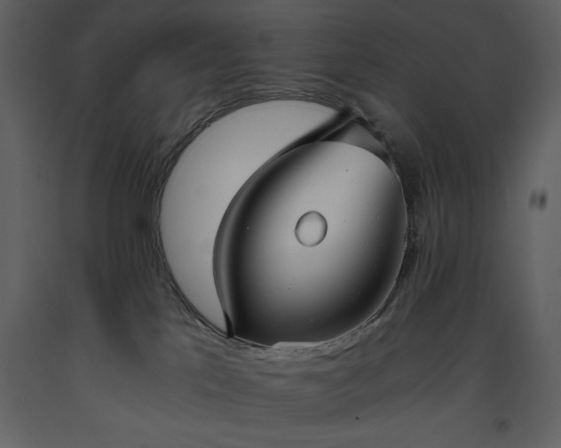X0000093610041200710221616