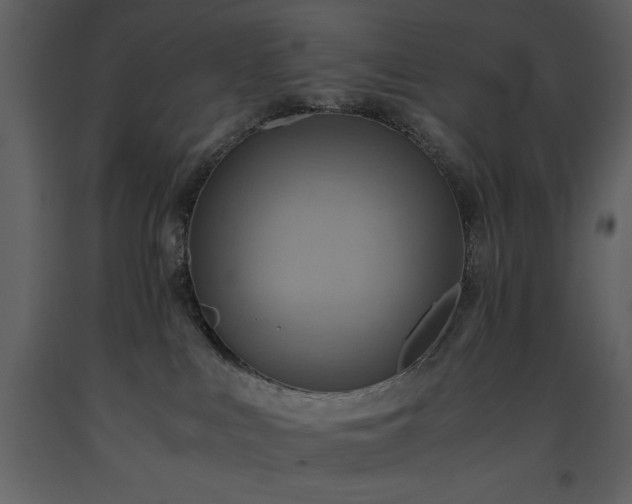 X0000093610043200710221616