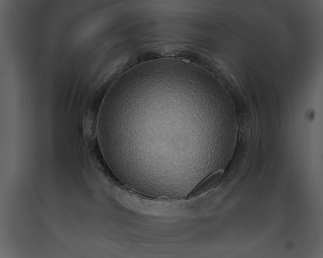 X0000093610044200710221616