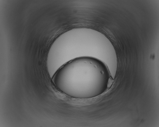 X0000093610045200710221616