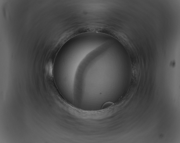 X0000093610046200710221616