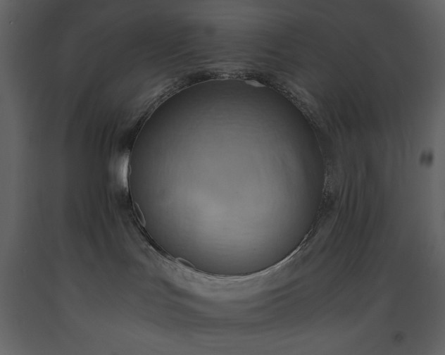 X0000093610047200710221616