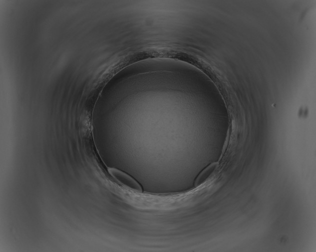 X0000093610048200710221616