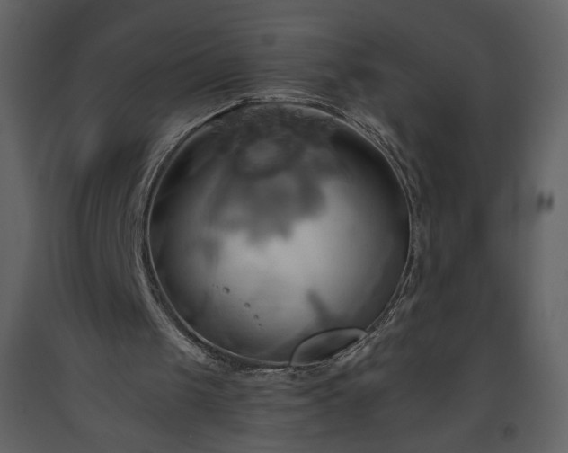 X0000093610049200710221615